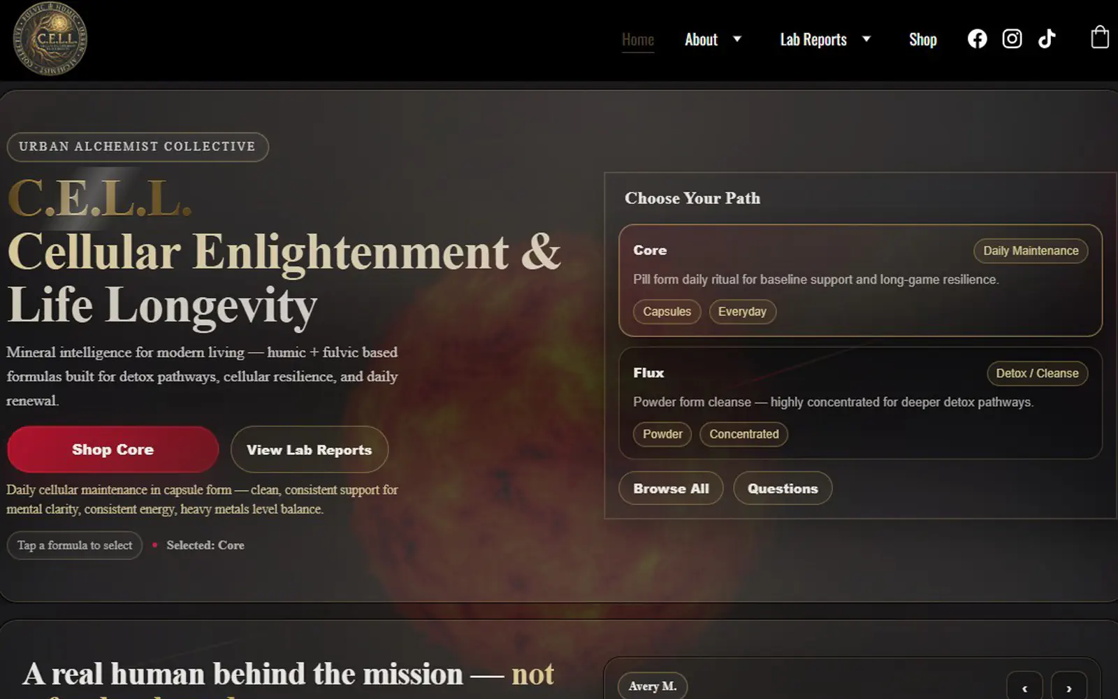 Conversion-optimized website layout designed for lead generation