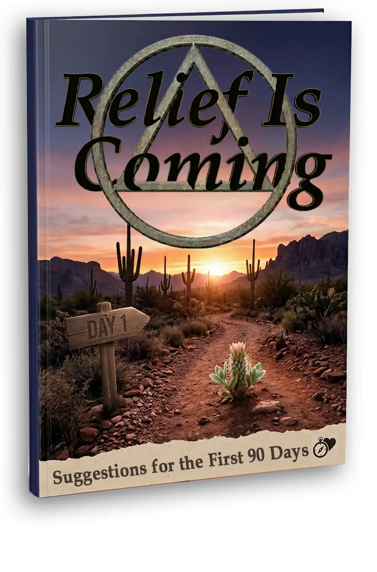 Relief Is Coming book cover example