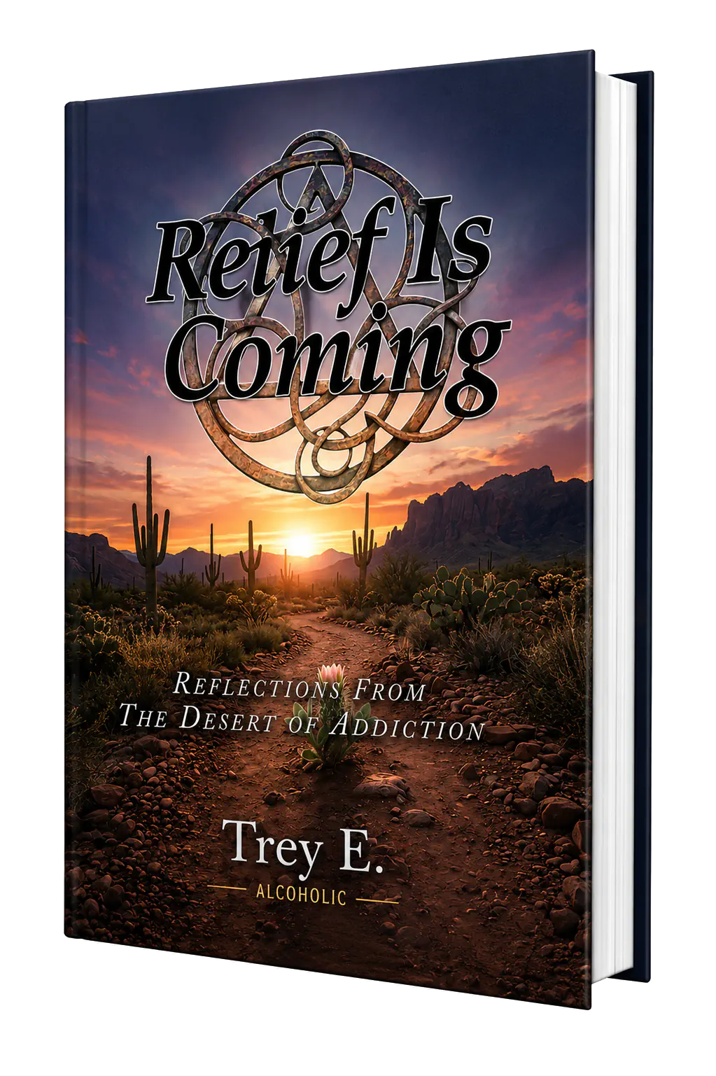 Relief Is Coming book